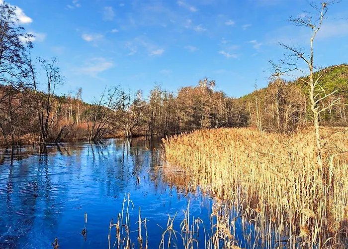 Amazing In With Wifi